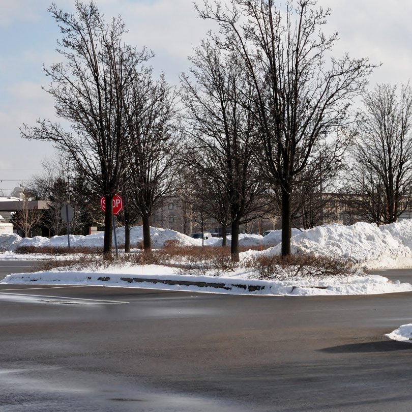Traffic Safety Equipment Rental
