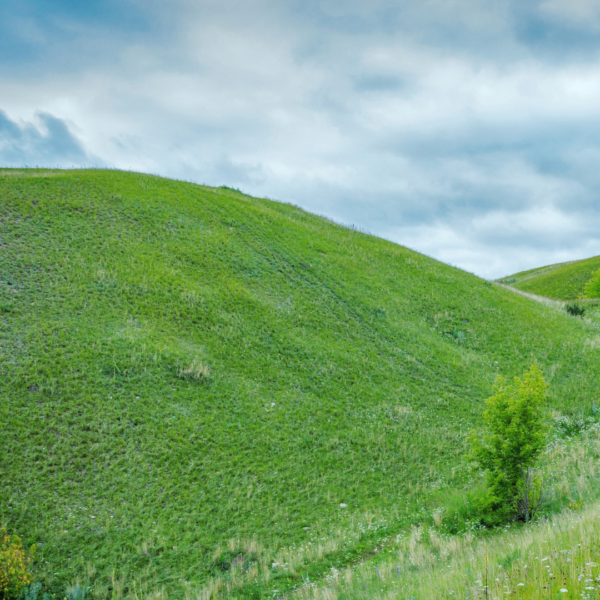 Slope Hill Mowing