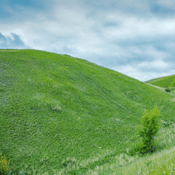 Slope Hill Mowing